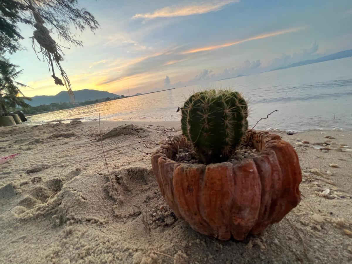 Phangan Dream Box Hotel Bantaj Kültér fotó