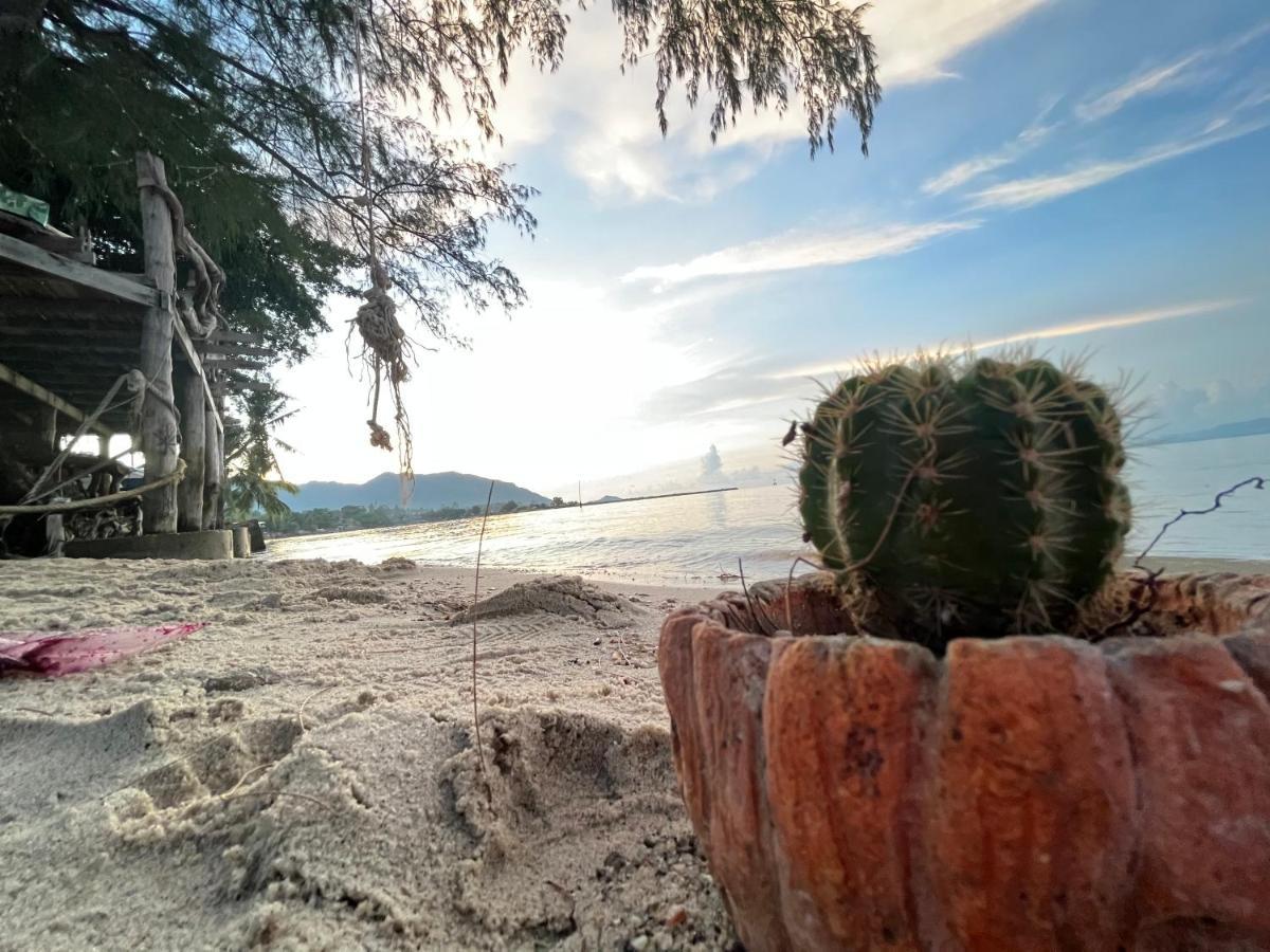 Phangan Dream Box Hotel Bantaj Kültér fotó